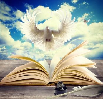 Меня здесь нет стих