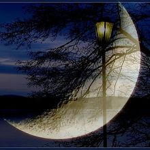 Печаль ночи стихи