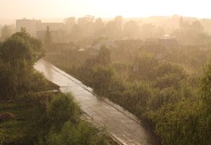 Стих серый дождь