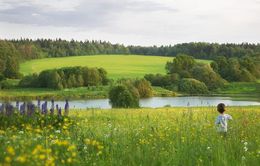 Память детства стихи