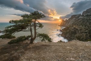 Берег прибой стихи