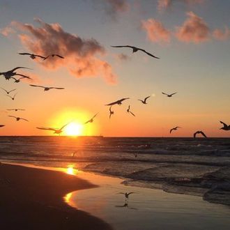 Природа говорит стихами