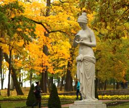 Стих Летний сад