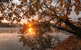 Стихи прольется свет