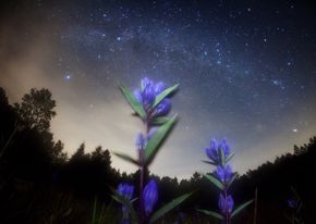 Стихи судьба и звёзды