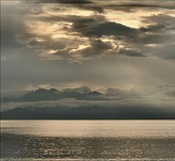 Стихи Марии