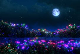 В чужом саду стих