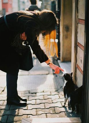 Кошка и человек стихи