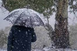 Солнцеворот стихи