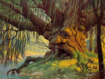 Старое дерево стих Старое дерево стих