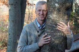 Стих мы деревья