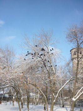 Стих солнцеворот