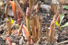 Стихи пережить зиму