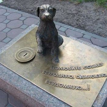 Любите собак стих Любите собак стих