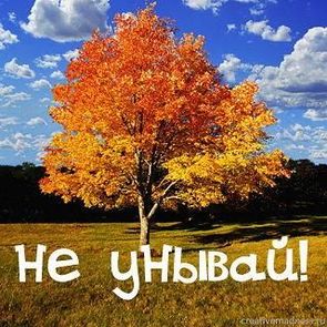 Не вешать нос стих