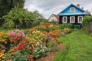 Первый этаж стихи