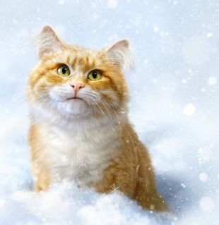 Снег котёнок стих