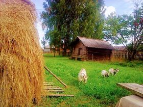 Стих про старую деревню