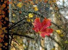 Стихи опыт жизни