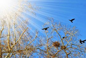 Стихи про февраль март апрель май