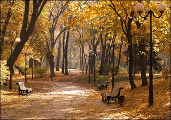 Стихи сентябрь в городе