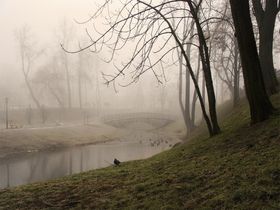 Стихи утро туман