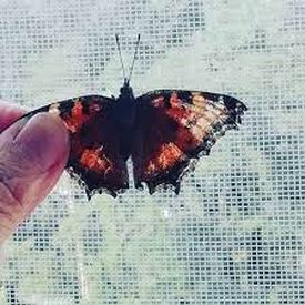 Всё преходяще стихи