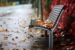 Запах листвы стихи