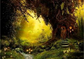 Сказки леса Сказки леса