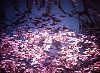 Стих я царь я раб