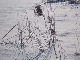 Стих зима на реке