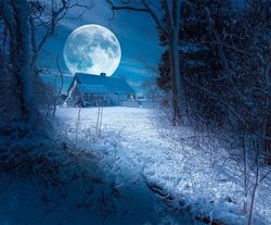 Стихи о луне и снеге