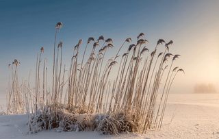 Стихи река в снегу
