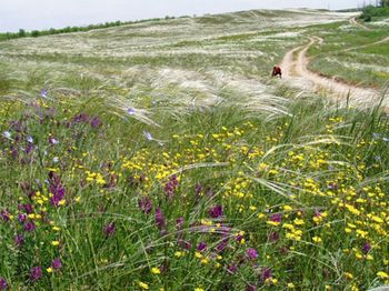 Общение душ стихи