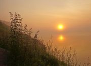 Река туман стихи