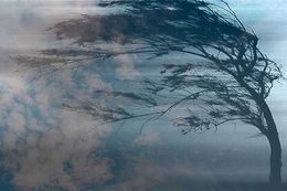 Стихи я и ветер