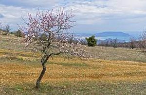 Стихи весна родина