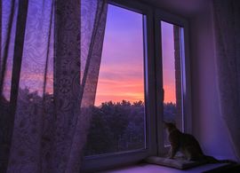 Тишина стихи короткие