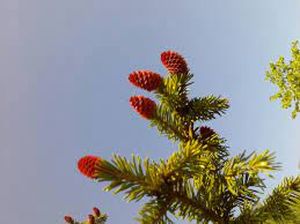 Прекрасна весна стих