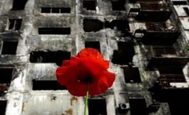 Тюльпаны весна стих