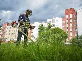 Аромат трав стихи
