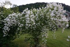 Холод в мае стихи