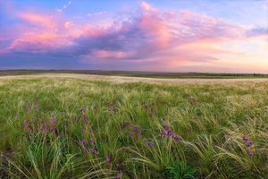 Край степной стихи