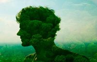 Эссе природа человека