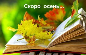 Лето в осень стихи