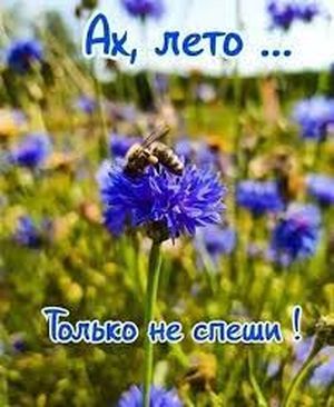 Не спеши август стихи