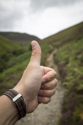 Стих повезло