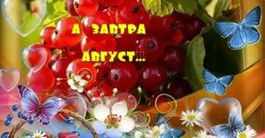 Стихи июль август