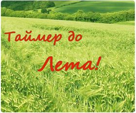 Ждем лета стих