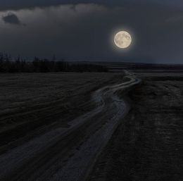 Не той дорогой стихи